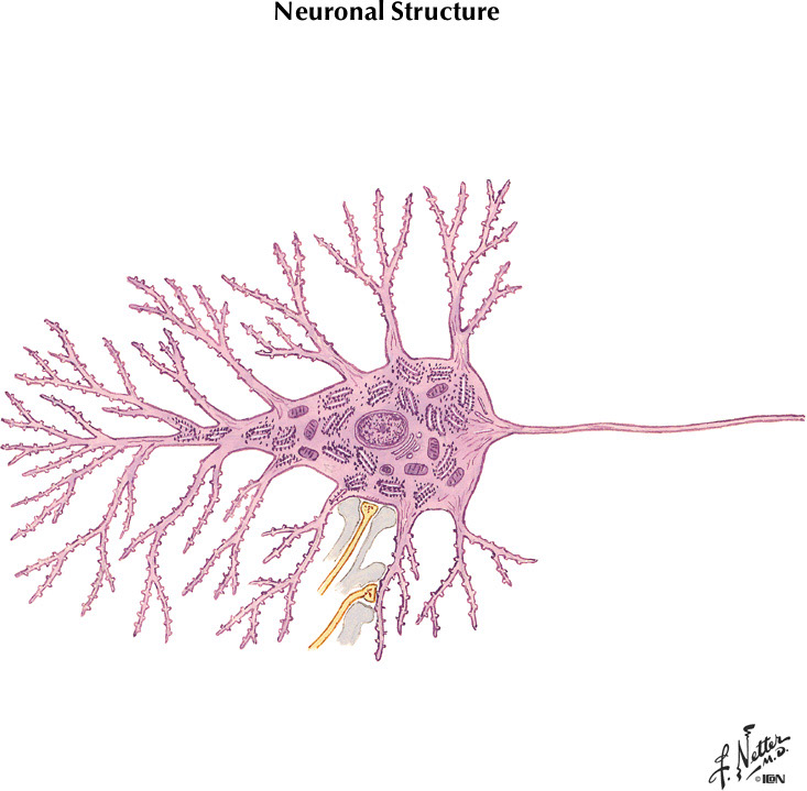 %_tempFileNameFigureI.1%