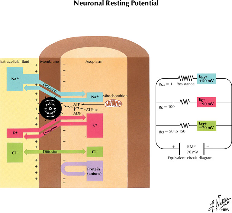 %_tempFileNameFigureI.10%