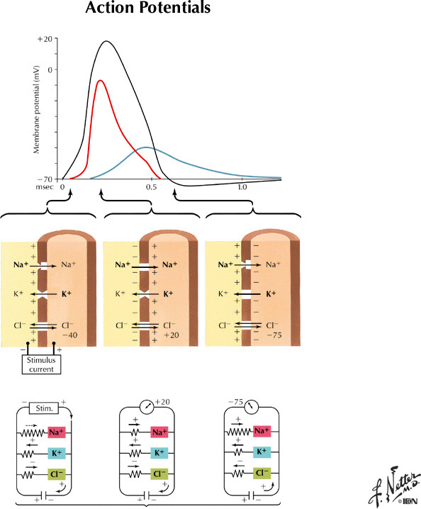 %_tempFileNameFigureI.12%