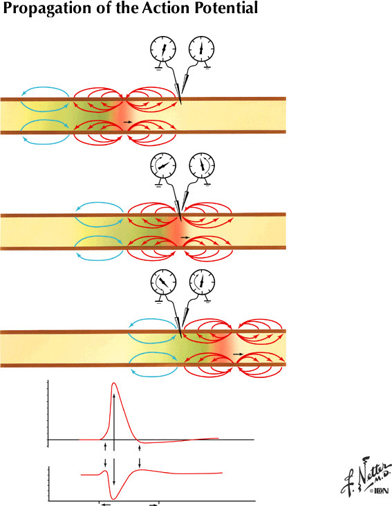 %_tempFileNameFigureI.13%