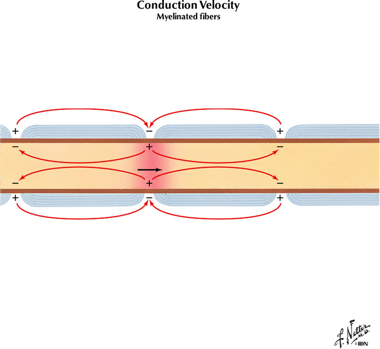 %_tempFileNameFigureI.14A%