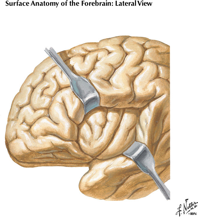 %_tempFileNameFigureI.19C%