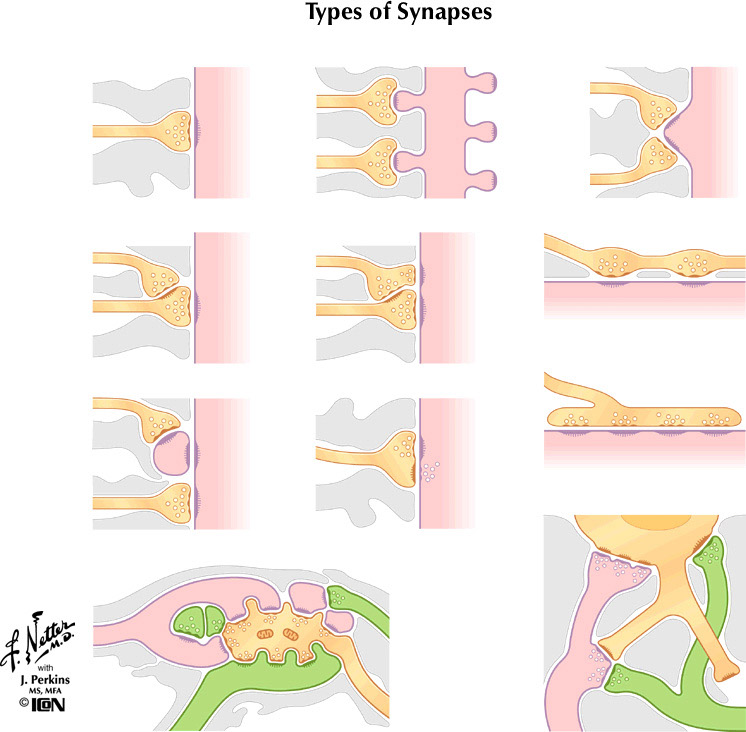 %_tempFileNameFigureI.2%