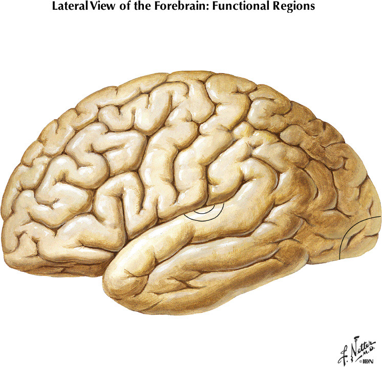 %_tempFileNameFigureI.20%