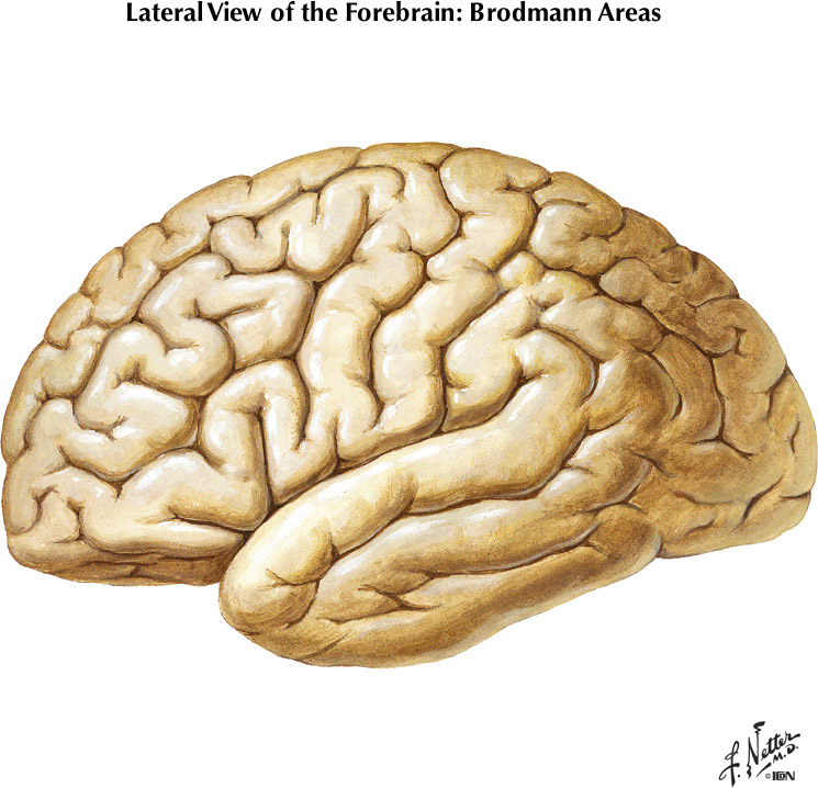 %_tempFileNameFigureI.21%