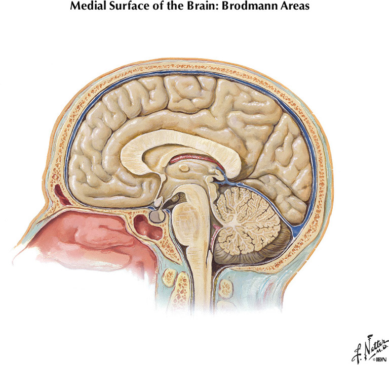 %_tempFileNameFigureI.24%