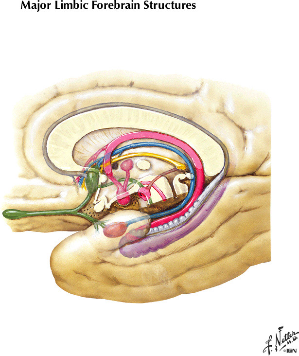 %_tempFileNameFigureI.28%