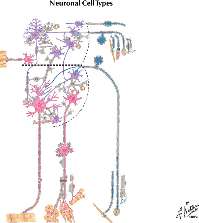 %_tempFileNameFigureI.3%