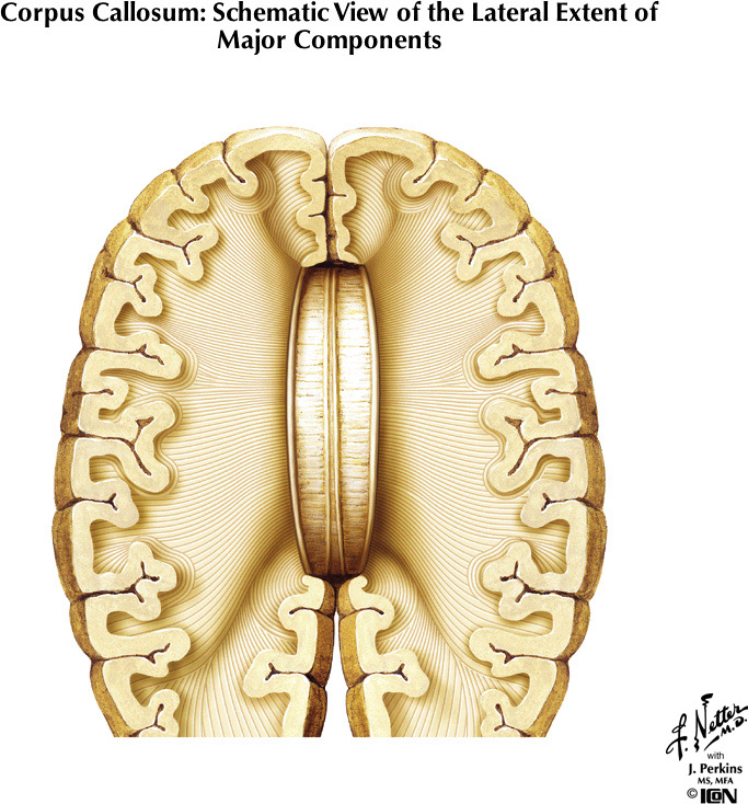 %_tempFileNameFigureI.30%