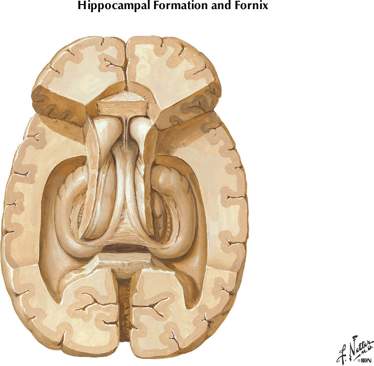 %_tempFileNameFigureI.31A%