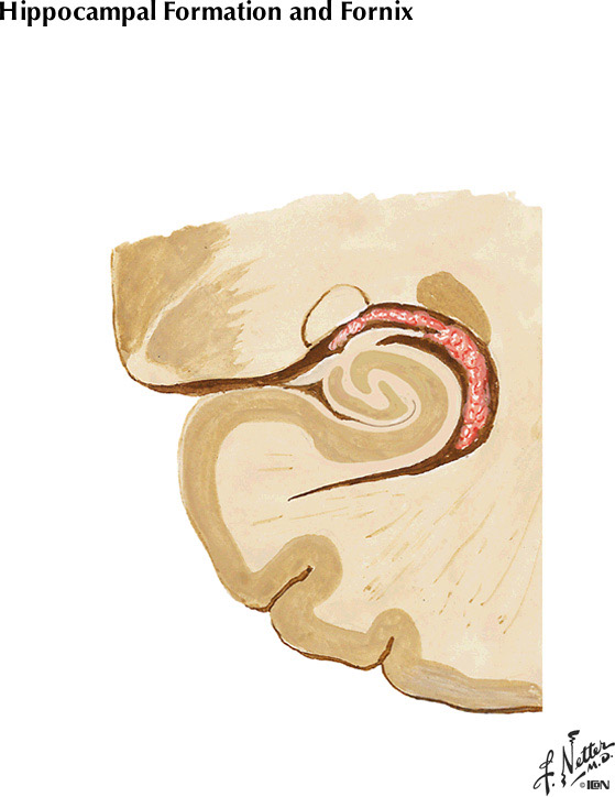 %_tempFileNameFigureI.31C%