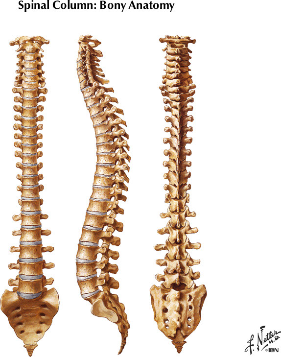 %_tempFileNameFigureI.36%