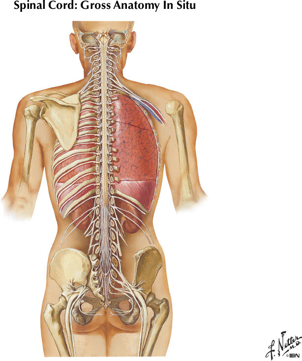 %_tempFileNameFigureI.37%