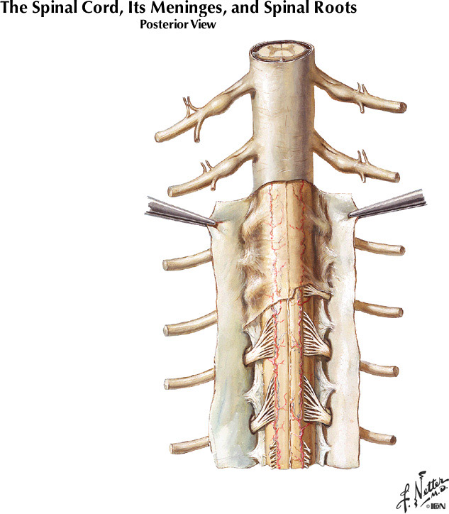 %_tempFileNameFigureI.38A%
