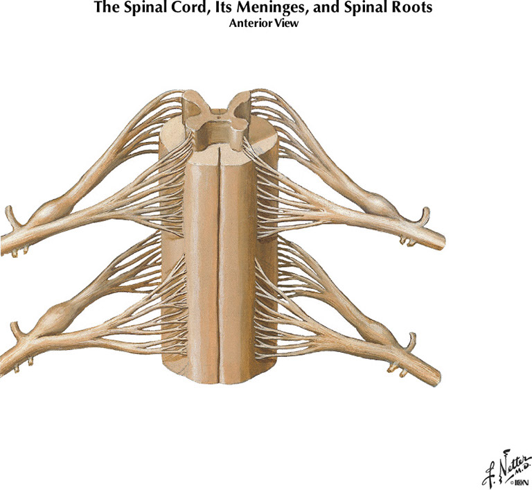 %_tempFileNameFigureI.38B%