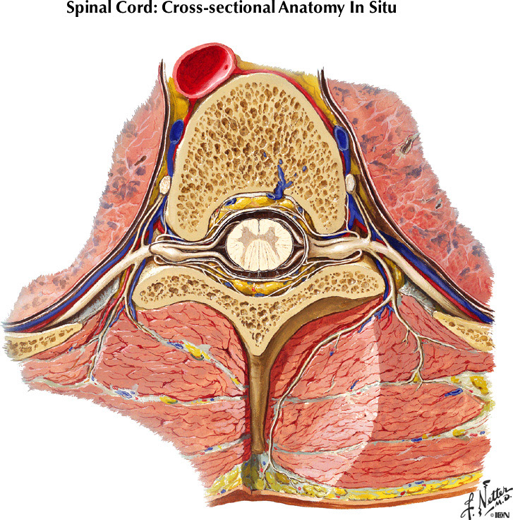 %_tempFileNameFigureI.39A%