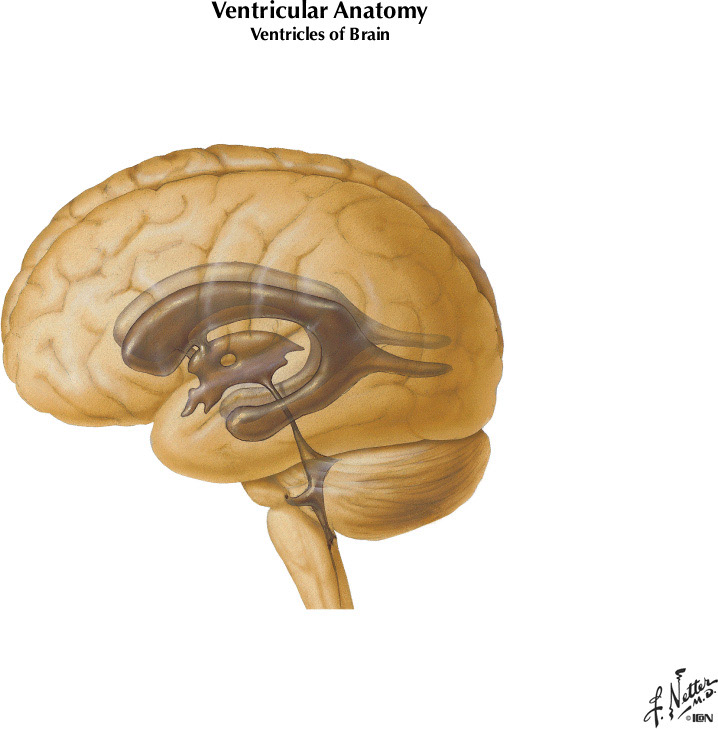 %_tempFileNameFigureI.42A%