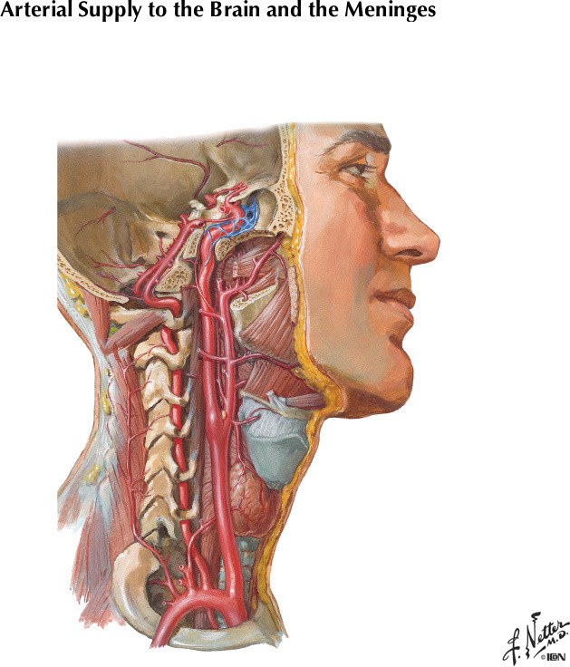 %_tempFileNameFigureI.46%