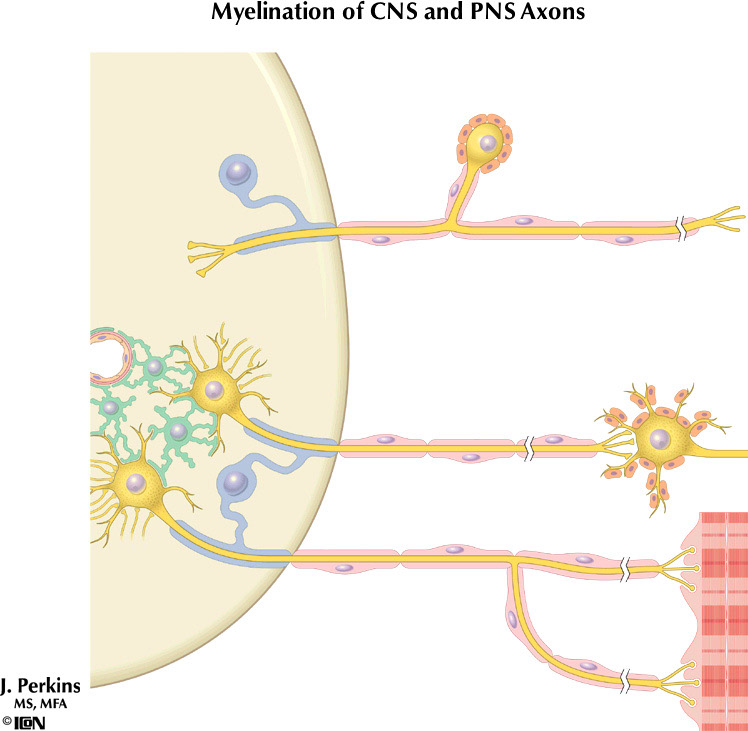 %_tempFileNameFigureI.5%