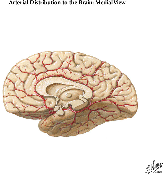 %_tempFileNameFigureI.51B%