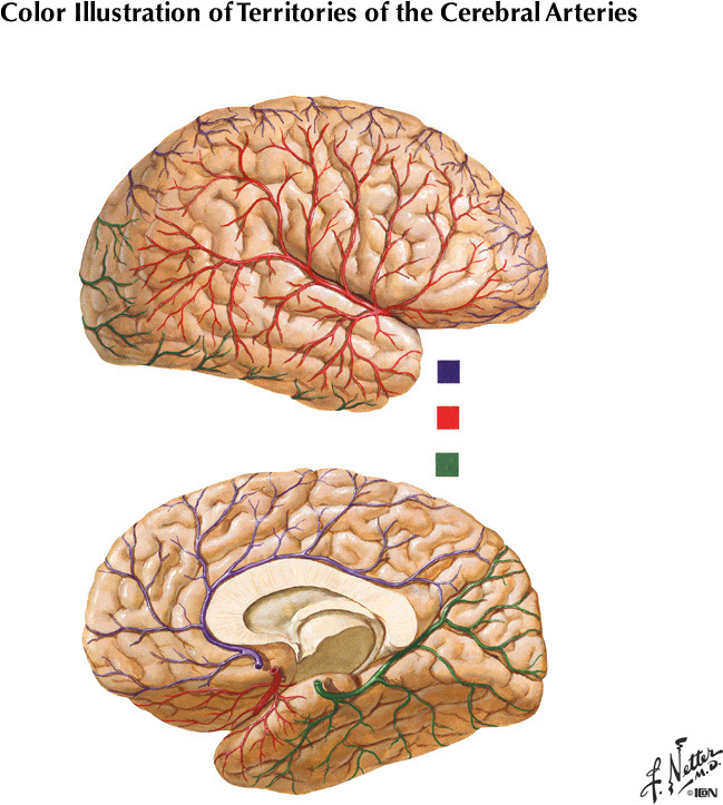 %_tempFileNameFigureI.52%