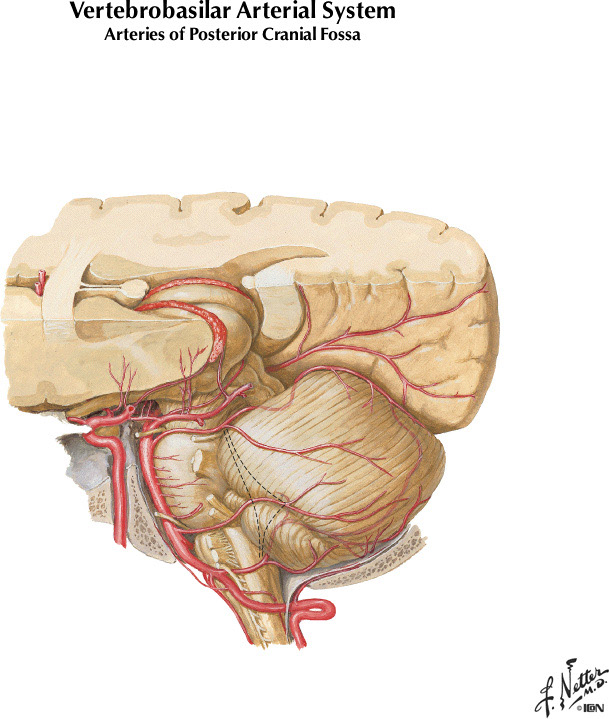 %_tempFileNameFigureI.55%