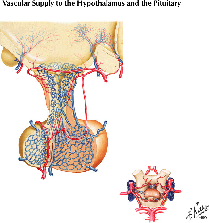 %_tempFileNameFigureI.56%