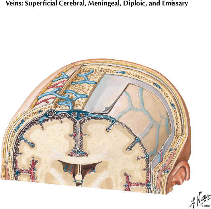 %_tempFileNameFigureI.58A%