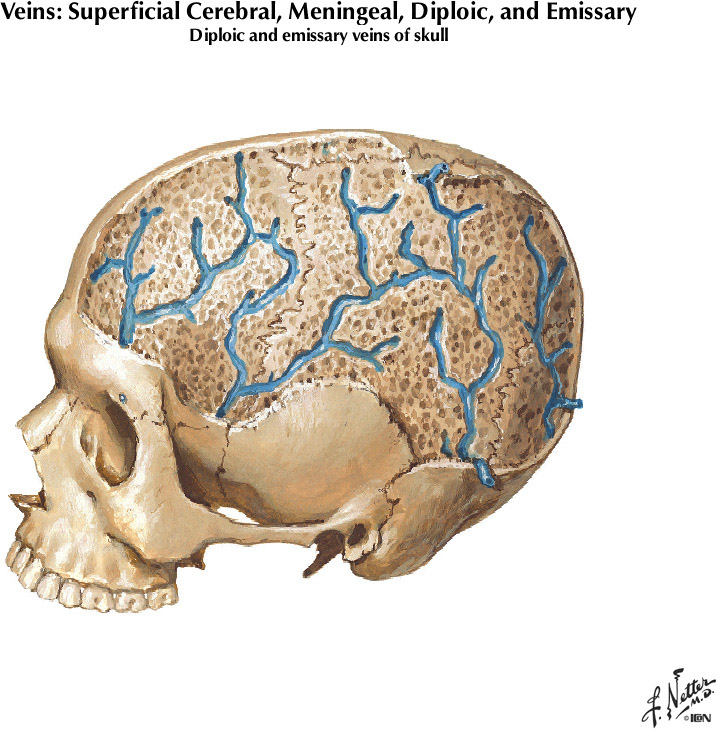 %_tempFileNameFigureI.58B%