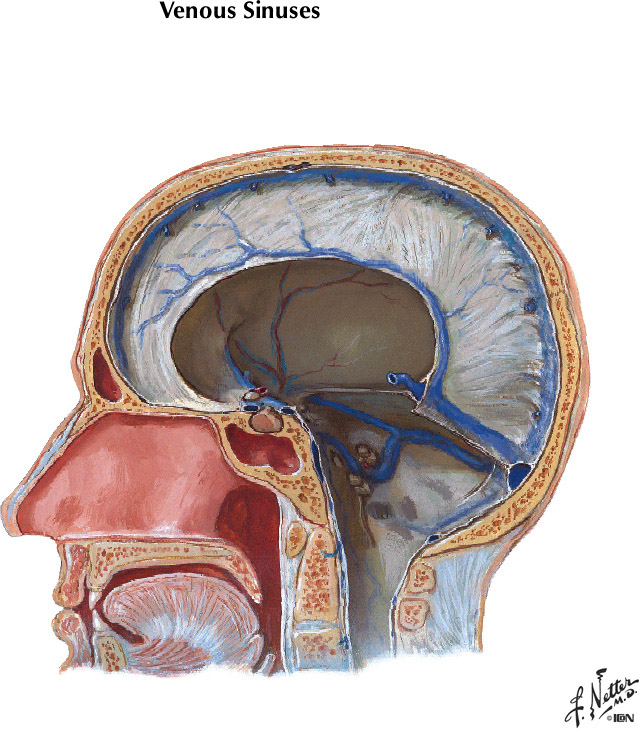 %_tempFileNameFigureI.59B%