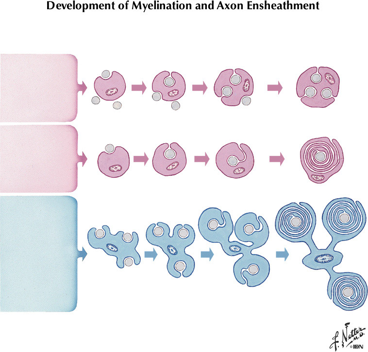 %_tempFileNameFigureI.6%