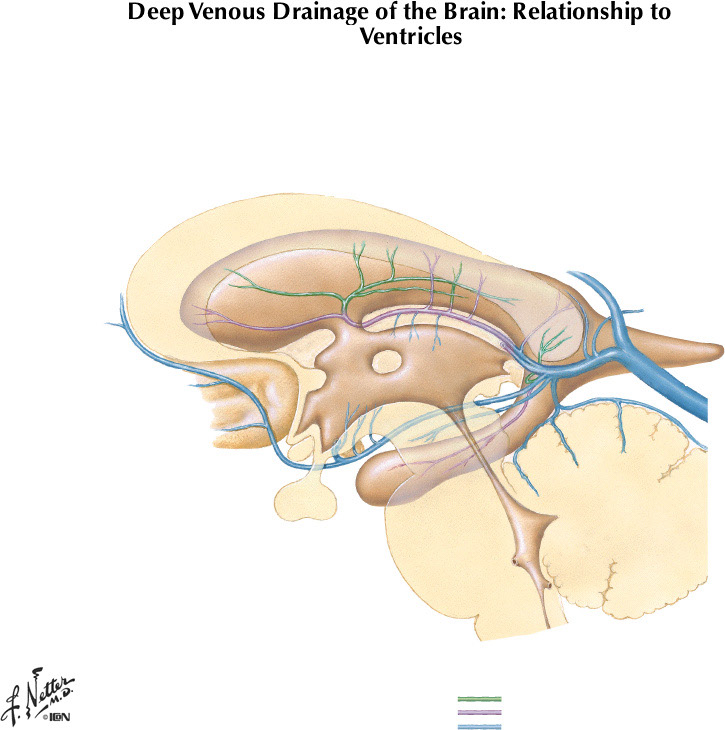 %_tempFileNameFigureI.61A%
