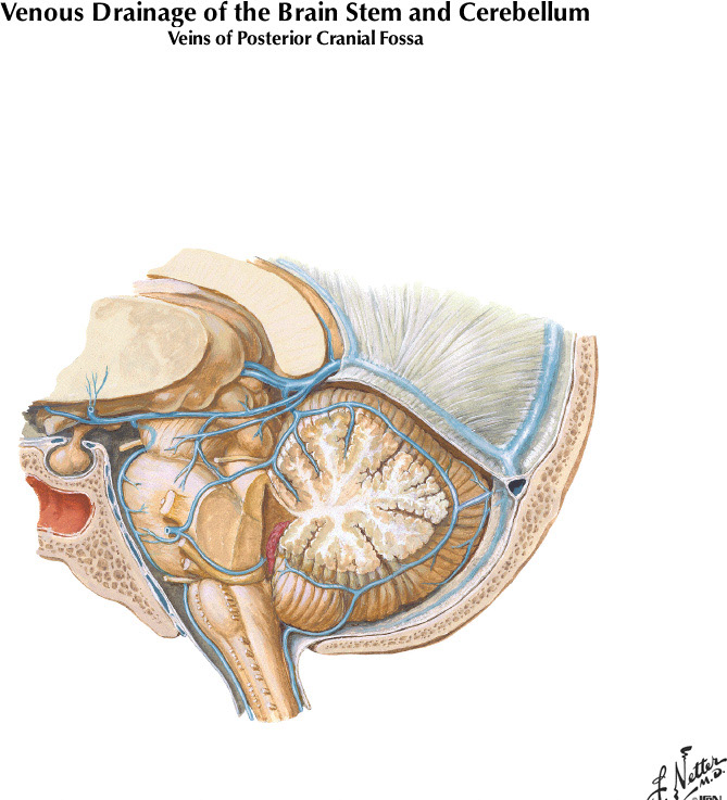 %_tempFileNameFigureI.62%