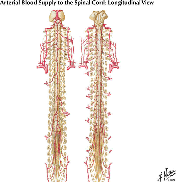 %_tempFileNameFigureI.63%