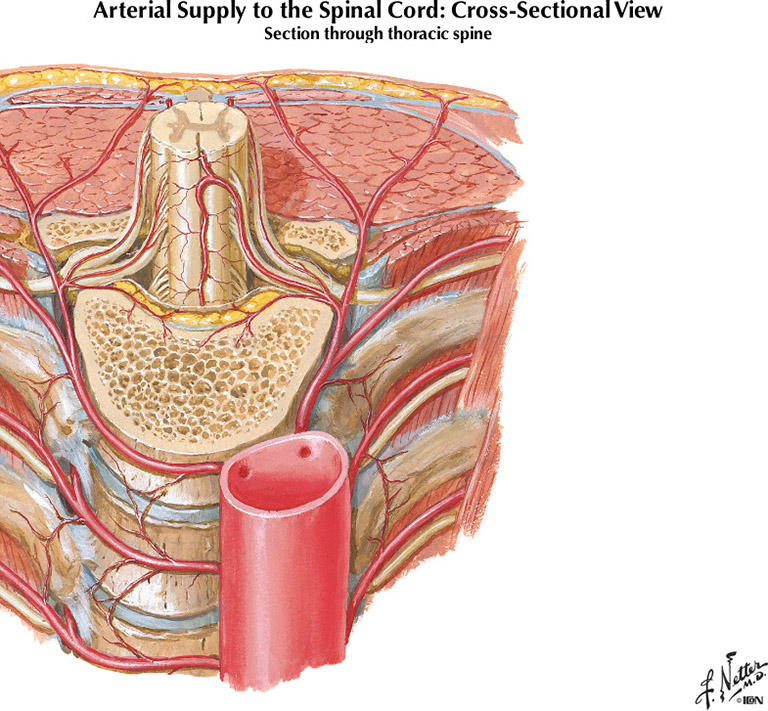 %_tempFileNameFigureI.65A%