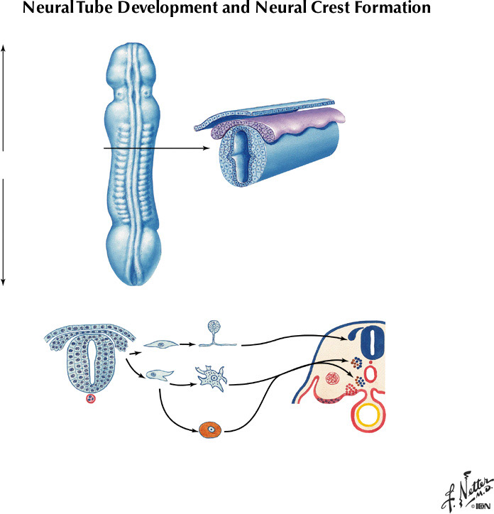 %_tempFileNameFigureI.69%