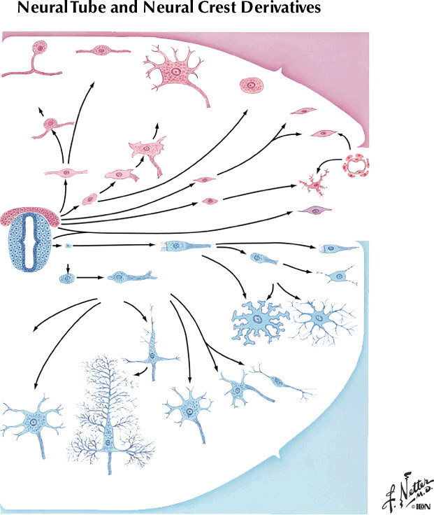 %_tempFileNameFigureI.71%