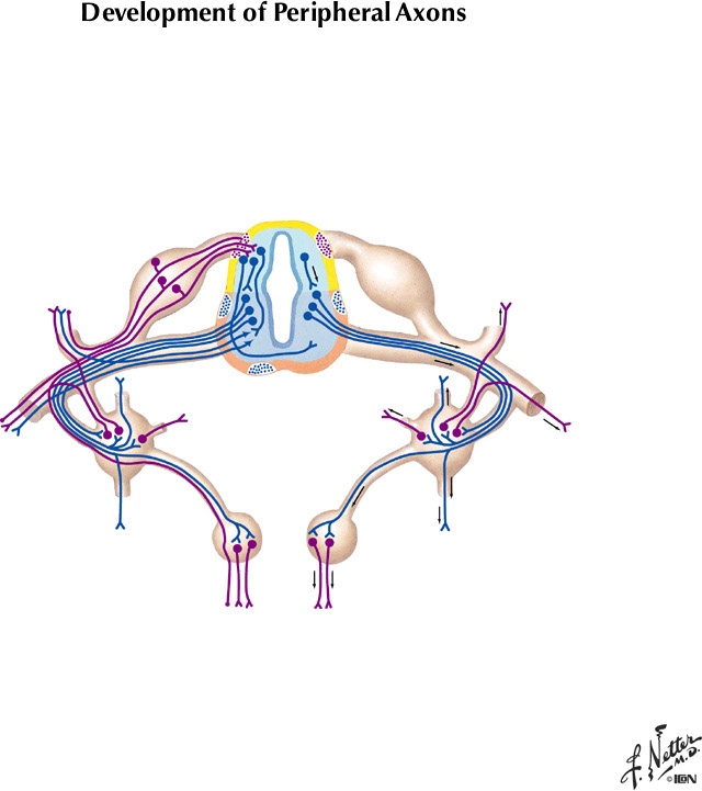 %_tempFileNameFigureI.82C%