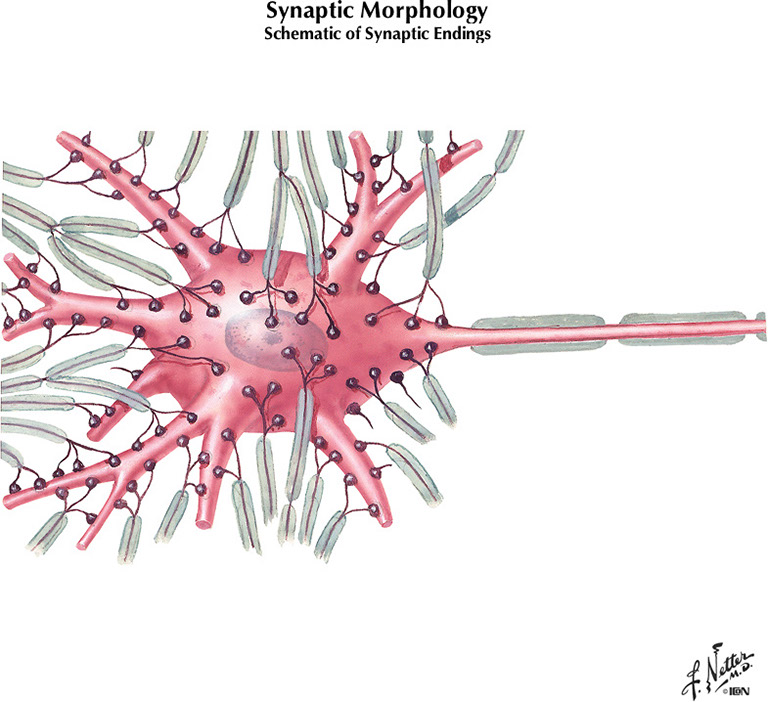 %_tempFileNameFigureI.8A%