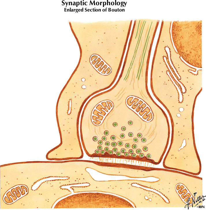 %_tempFileNameFigureI.8B%