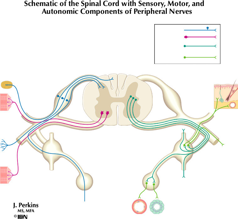 %_tempFileNameFigureII.1%