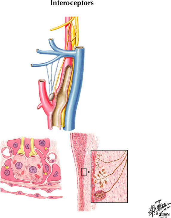 %_tempFileNameFigureII.10%