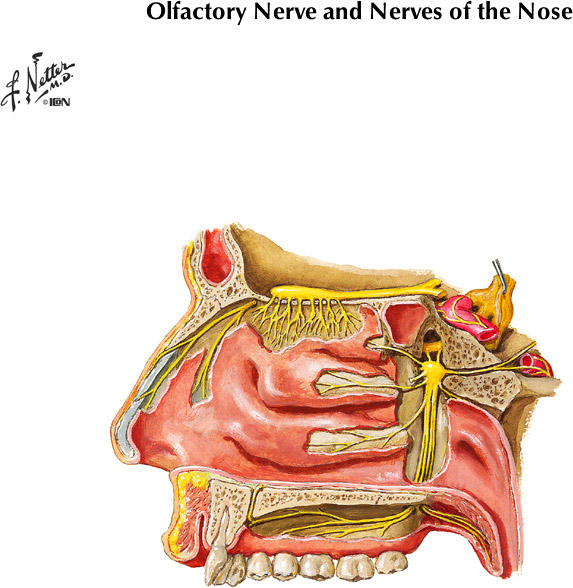 %_tempFileNameFigureII.100A%