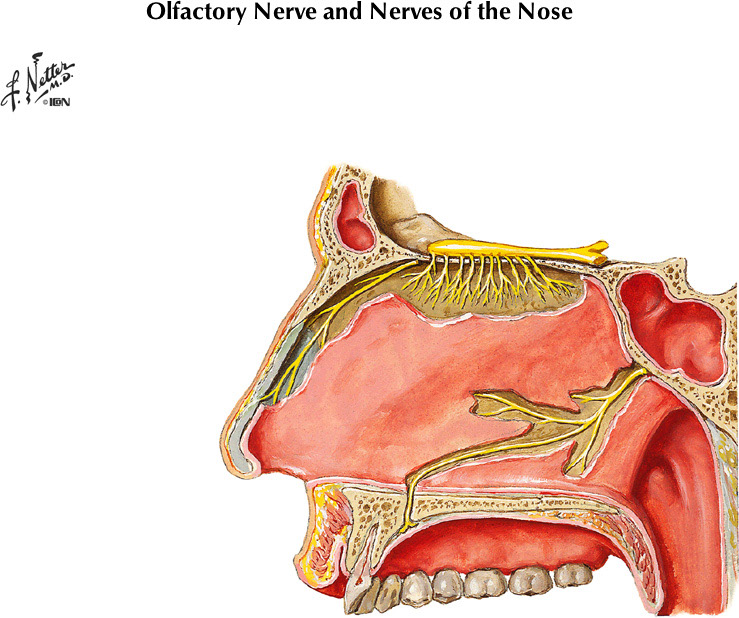 %_tempFileNameFigureII.100B%