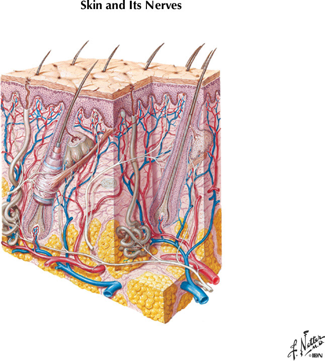 %_tempFileNameFigureII.11%