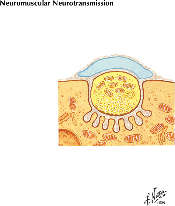 %_tempFileNameFigureII.12A%