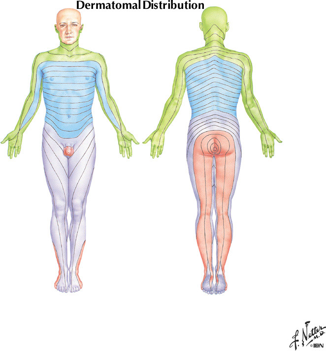 %_tempFileNameFigureII.14%