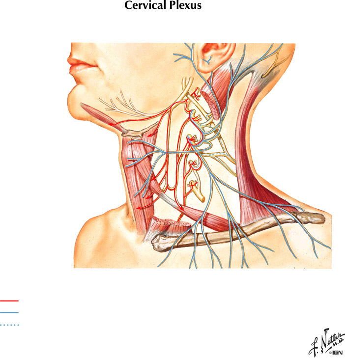 %_tempFileNameFigureII.15%