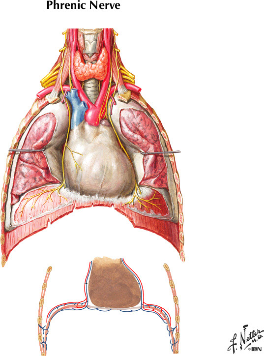 %_tempFileNameFigureII.16%