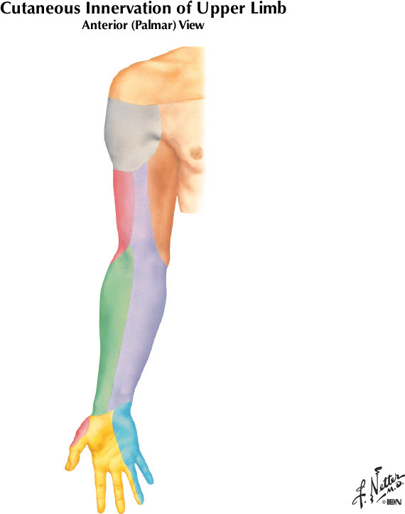 %_tempFileNameFigureII.19A%